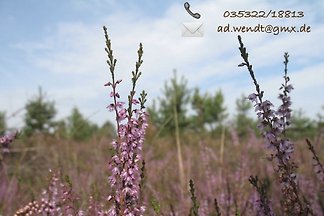 Tolle Erholung und viele Unternehmungen