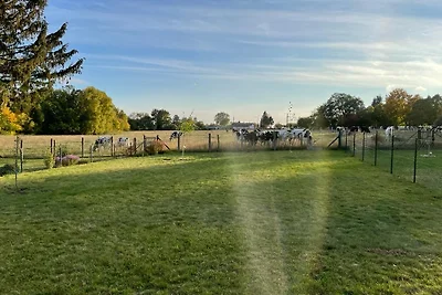 *Ferienhaus Felddistel* in Mistorf