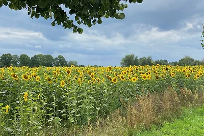 *Ferienhaus Felddistel* in Mistorf