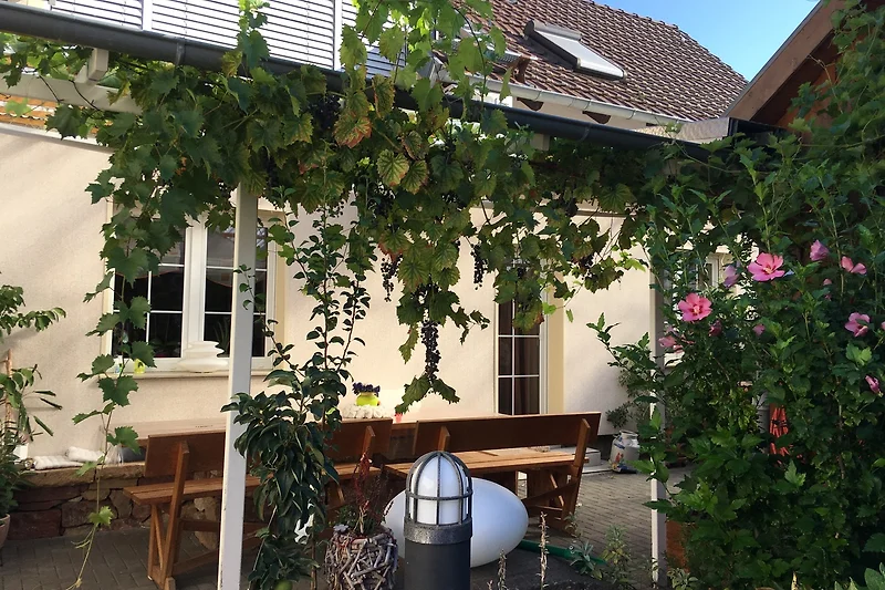 Überdachte Terrasse für gemütliches Frühstücken im Freien.