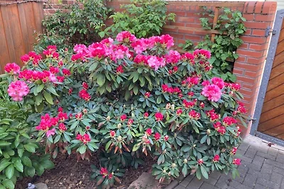 Ferienwohnung für Familien