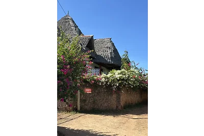 Villa Simba