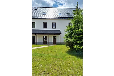 Ferienhaus Abertamy in Erzgebirge