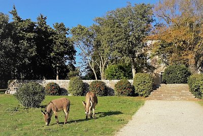 Domaine de Conillieres