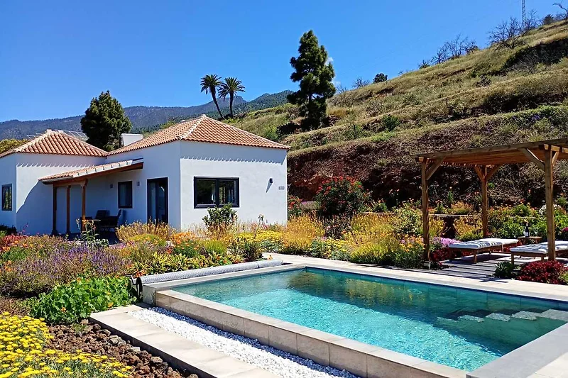 Großzügiger Hof mit Pool, Sonnenschirmen und stilvollen Loungemöbeln.