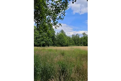 Ferienhaus Littard Waldhaus