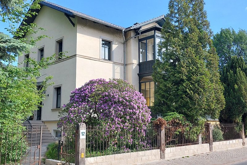 Ferienwohnung im Erdgeschoss der Villa Reger im Dresdner Villenviertel Blasewitz.