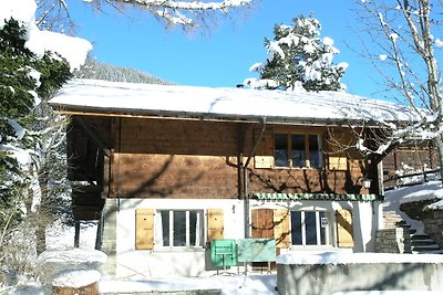 Chalet mit privatem Pool