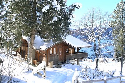 Chalet mit privatem Pool