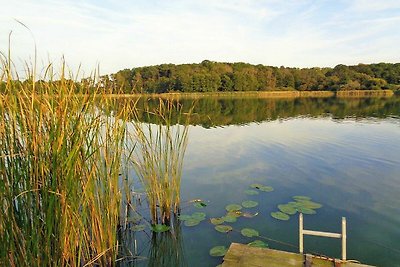 Am Rittermannshagener See