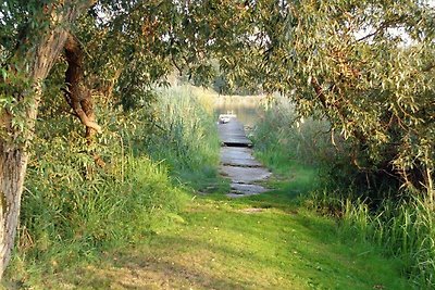 Am Rittermannshagener See