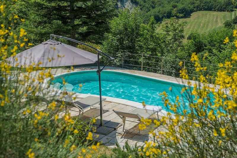 Luxuriöse Ferienwohnung mit Pool, Garten und üppiger Vegetation.