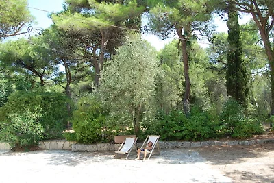 Villa Torre di Santa Caterina