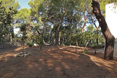 Villa Torre di Santa Caterina