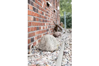 Das Möwenhaus grosses Nest