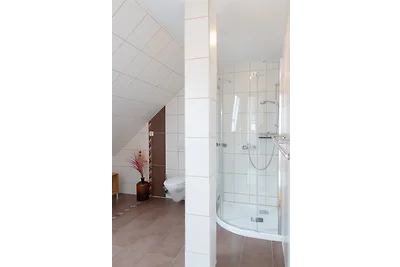 Das Möwenhaus grosses Nest