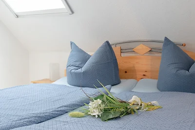 Das Möwenhaus grosses Nest