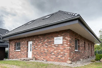 Das Möwenhaus grosses Nest