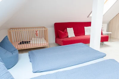 Das Möwenhaus grosses Nest