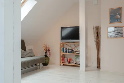 Das Möwenhaus grosses Nest
