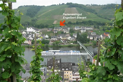Mosel-Panoramablick Weingut Bienert
