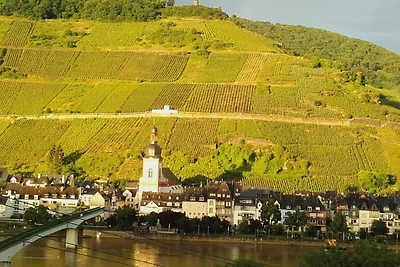 Mosel-Panoramablick Weingut Bienert
