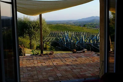 Ferienhaus Modernes Rustico Traumblick Maremma