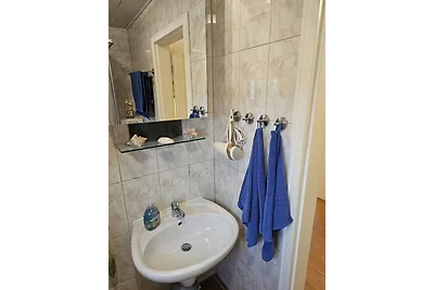 Haffmöwe FH96