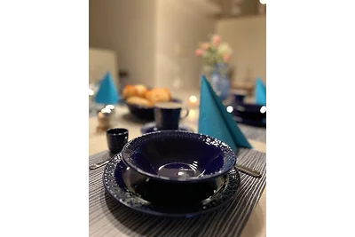 Haffmöwe FH96