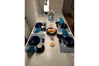 Haffmöwe FH96