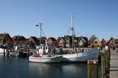 Havenhuske