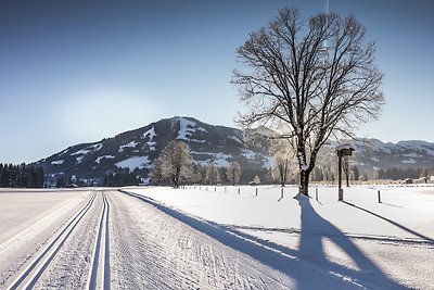 Chalet Tirol - "GipfelTRAUM"