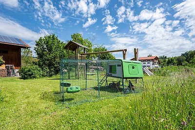 Ferienwohnung Stuibenblick