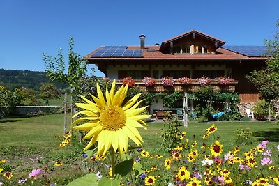 Ferienwohnung Mittagblick