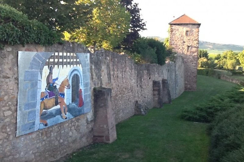 Stadtmauer  Bergheim
