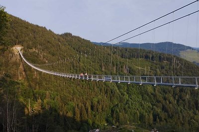 Gemütliche FeWo am Bach und neben Skipiste