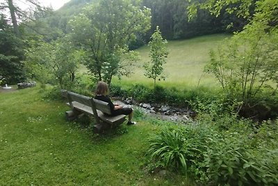 Gemütliche FeWo am Bach und neben Skipiste