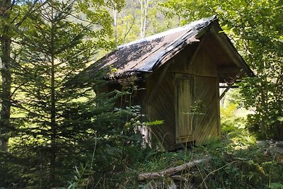 Gemütliche FeWo am Bach und neben Skipiste