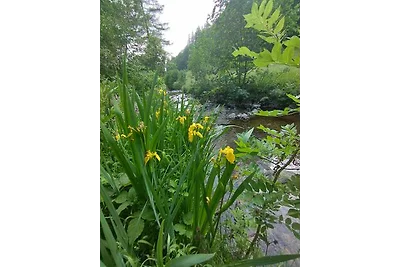 Gemütliche FeWo am Bach und neben Skipiste