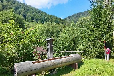 Gemütliche FeWo am Bach und neben Skipiste