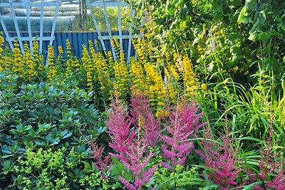 Greetsiel- FeWo Zum schönen Garten