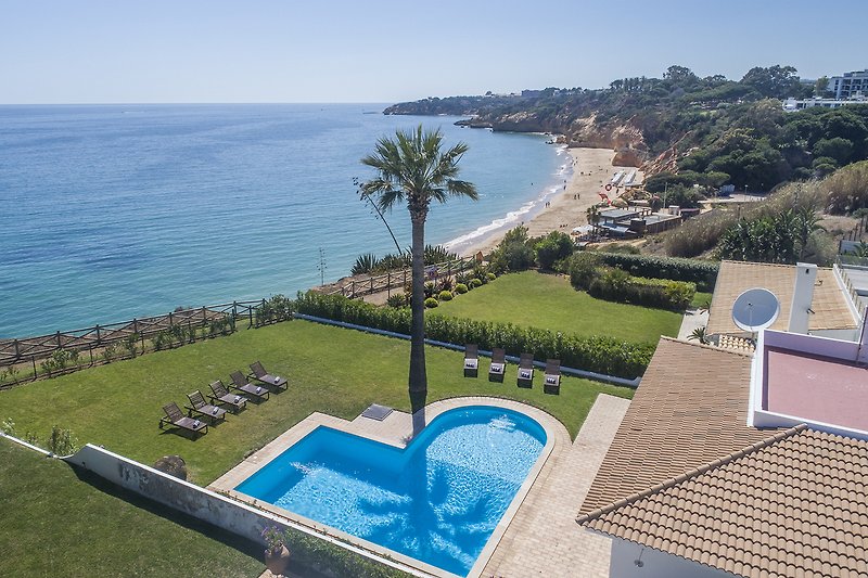 Villa am Meer mit Pool, Palmen und Balkon.