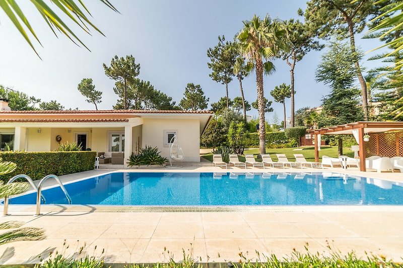 Villa mit Pool, Palmen und schattiger Terrasse.