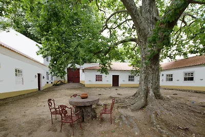 Quinta da Capela