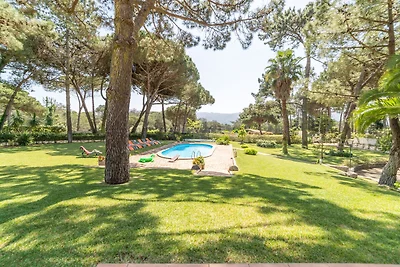 Villa Pine Nature