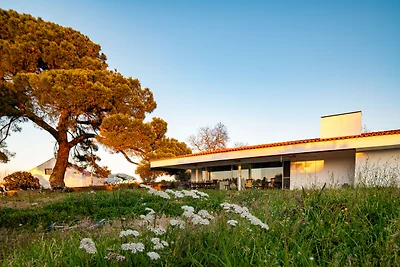 Villa do Pinheiro - NEW!