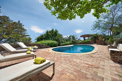 Villa Flamingo