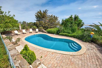 Villa Flamingo
