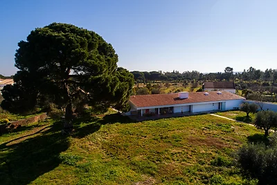 Villa do Pinheiro - NEW!