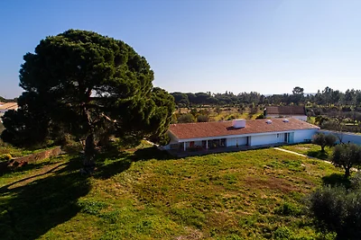 Villa do Pinheiro
